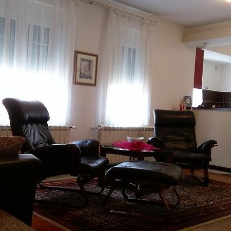 Apartment Krsmanovic Arandjelovac Luaran gambar